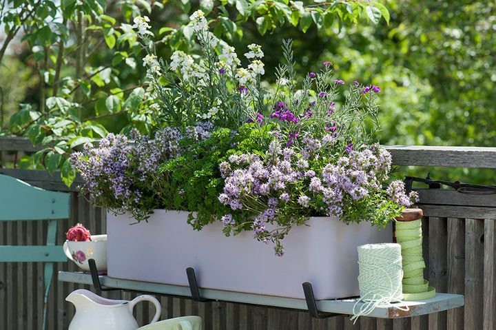 バルコニーボックス