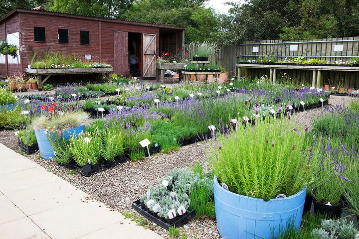 ガーデンセンター