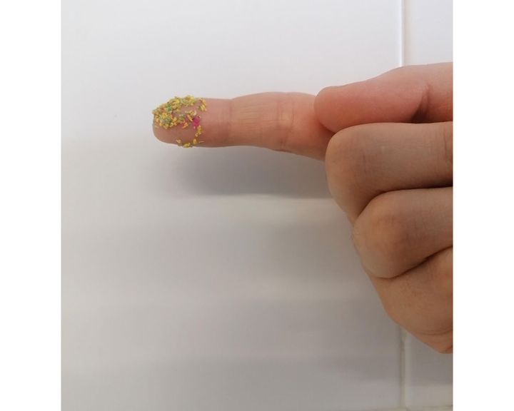 水中から取り出されたカラフルなマイクロプラスティック