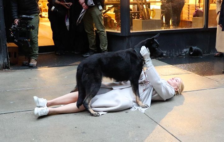 画像4: ニコール・キッドマンが新作映画『Babygirl』をNYで撮影