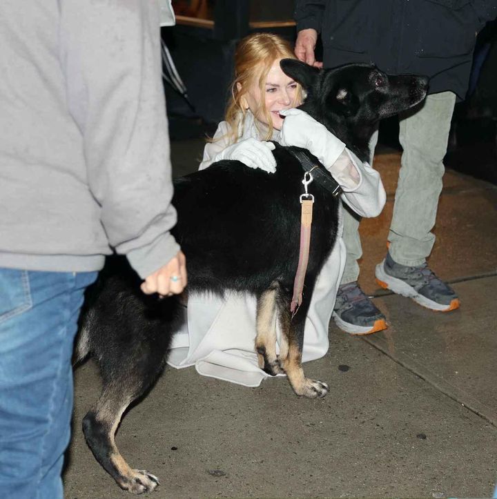 画像5: ニコール・キッドマンが新作映画『Babygirl』をNYで撮影