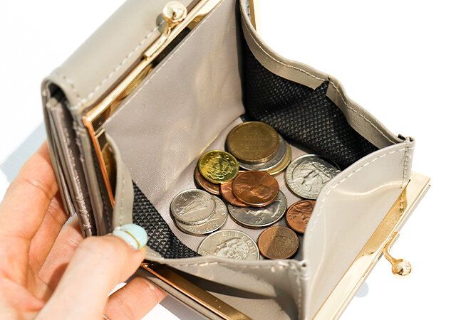 宝島社ムック本のTHE EDITORSがま口ミニ財布 