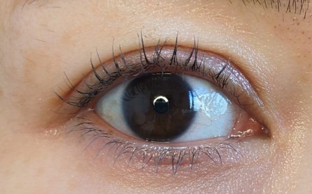 セザンヌのコスメ