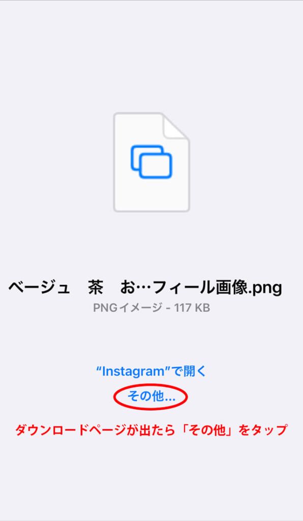 ダウンロードページが表示されたら「その他」を選択
