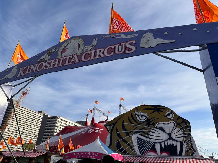 ぐるり森 クラウン 木下大サーカス 大幅お値下げ！ぐるり森カード 木下大サーカス限定 激レア