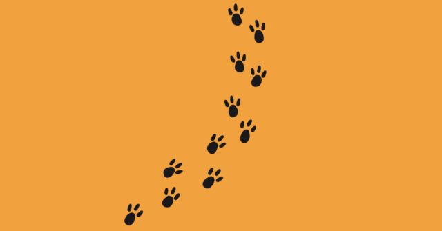 何の足跡だと思う？【心理テスト】あなたのズボラ度を診断！