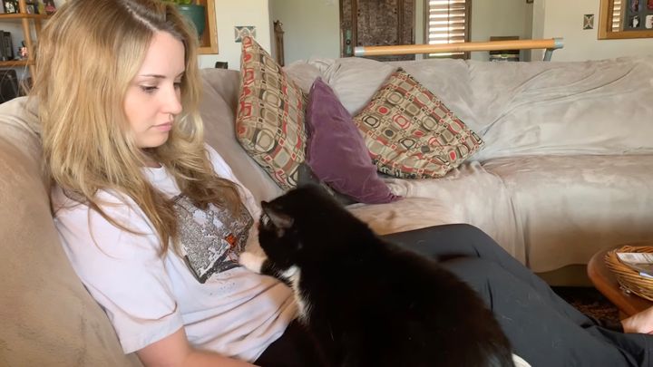 飼い主のデレ顔引き出す手練の猫、撫でられスキルを6年後も維持