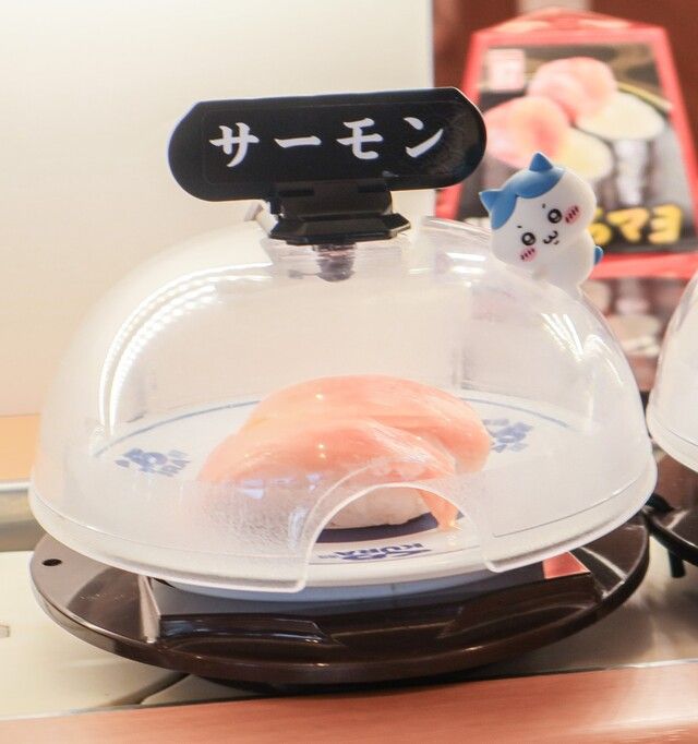 「抗菌寿司カバー鮮度くん」に乗ったハチワレ