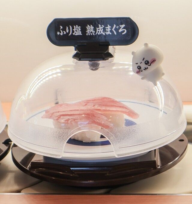「抗菌寿司カバー鮮度くん」に乗ったちいかわ