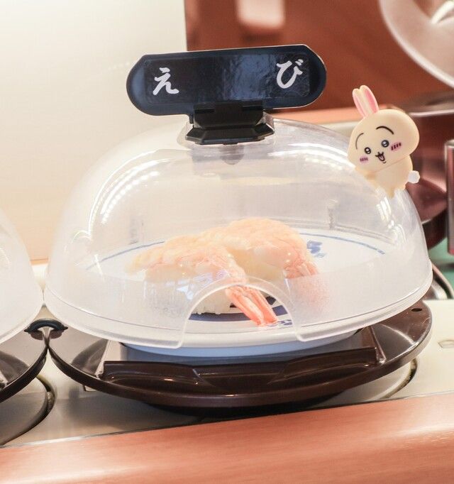 「抗菌寿司カバー鮮度くん」に乗ったうさぎ