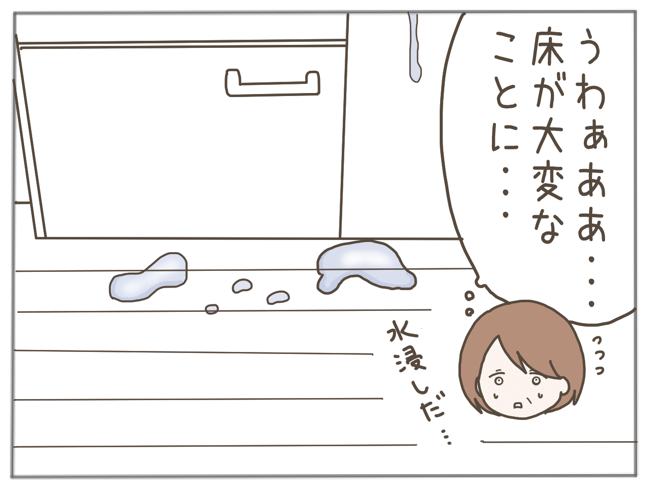 25歳年下男に騙された 16