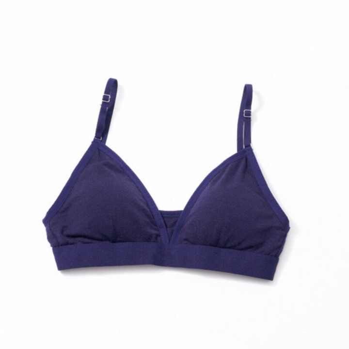 アウトドアブランド・アイスブレーカー ブラ