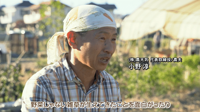 注文から100日くらいかかるレストラン