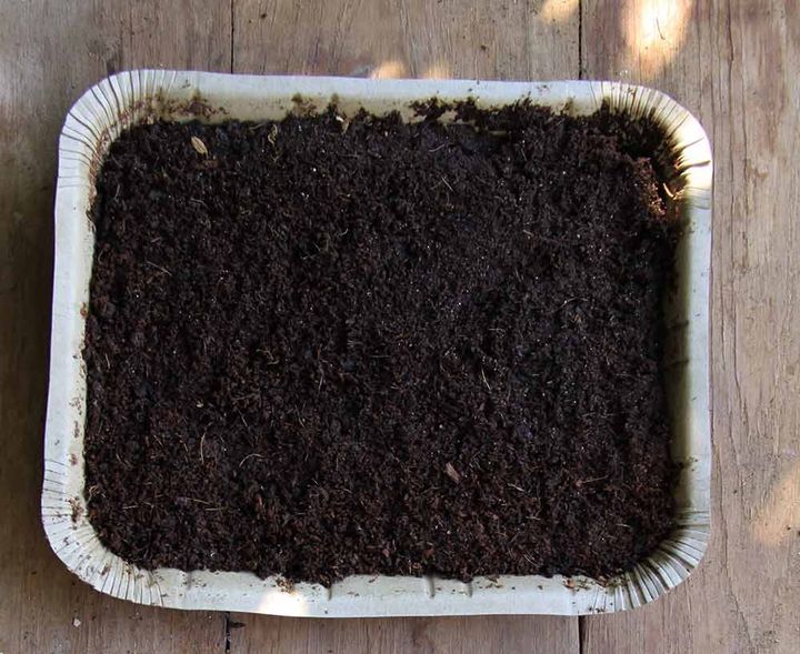 種まき用土