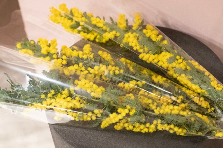 ザ•ノース•フェイス THE NORTH FACE