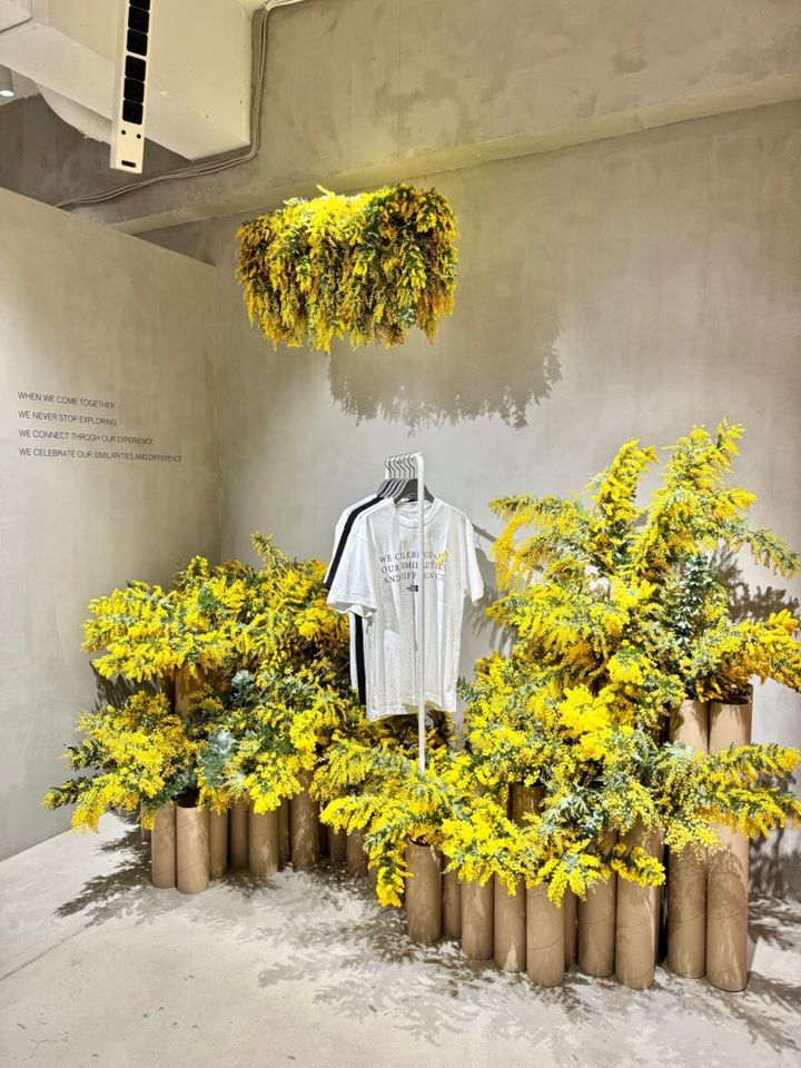 ザ•ノース•フェイス THE NORTH FACE