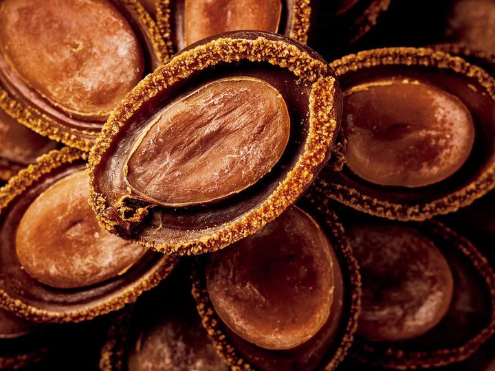 「岩手県吉浜産吉品13頭干し鮑」