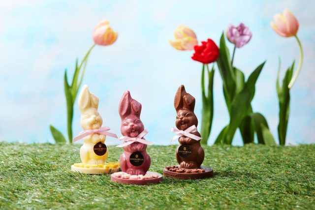 可愛いうさぎのチョコレート画像