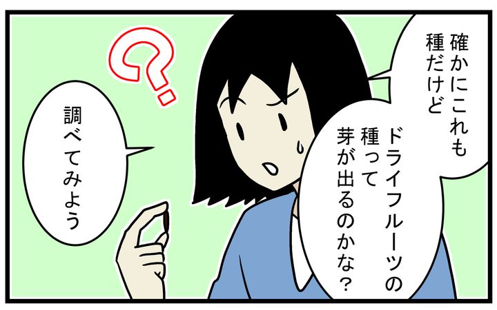 もう芽が出ないような気もします