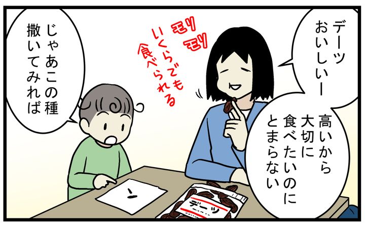 ドライフルーツの「デーツの種」は発芽する？ 調べてみた結果…【こどもと見つけた小さな発見日誌 Vol.70】