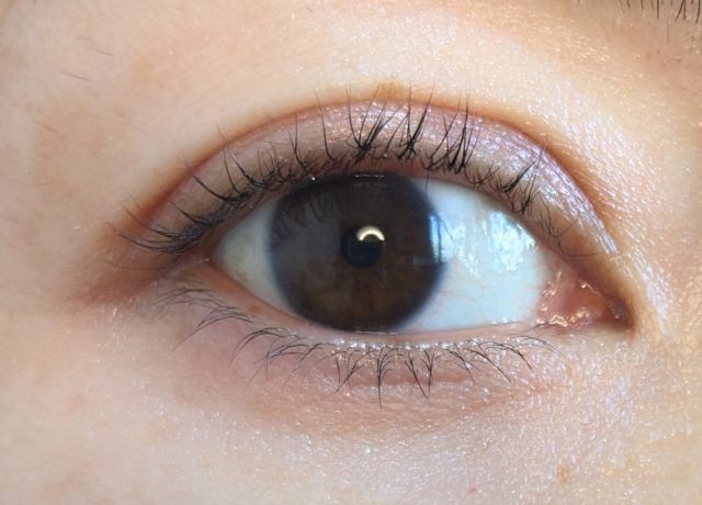 セザンヌのコスメ