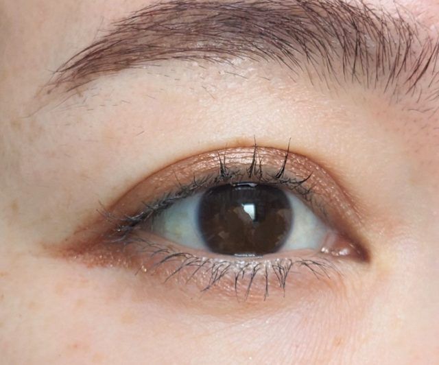 アイシャドウパレット「プティパレットアイズ」に新色アマンドブリュレが仲間入り