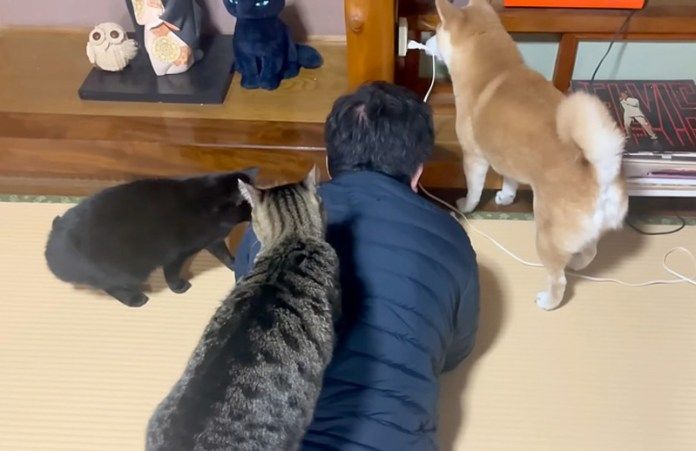 床下が気になる