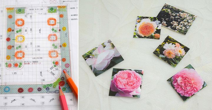 テラスガーデンの植栽案