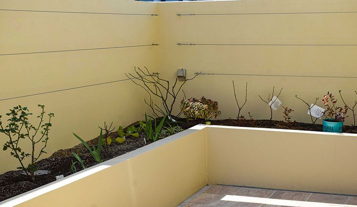 バラのテラスガーデン