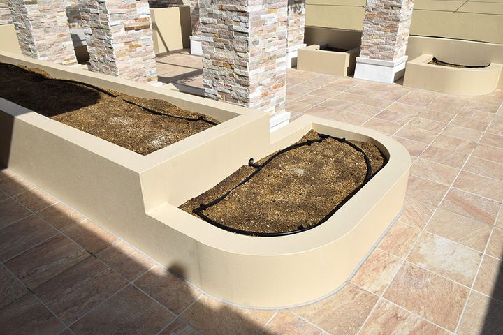 パーゴラを囲む花壇