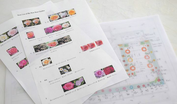 テラスガーデンの植栽プラン