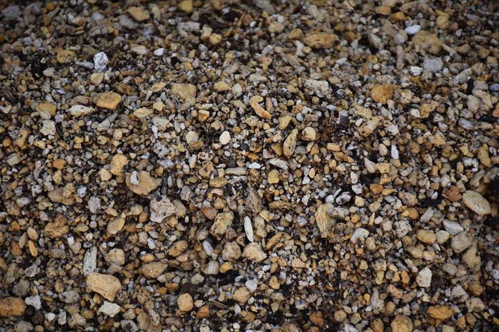 人工土壌「ビバソイル」