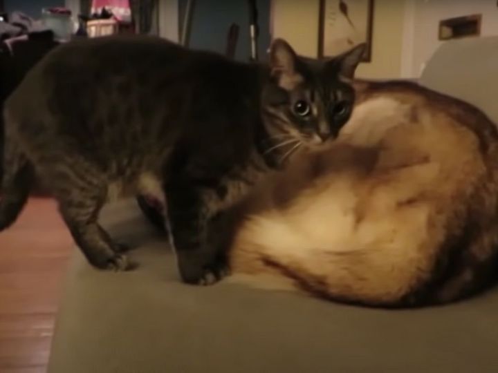 そこで寝るの！？