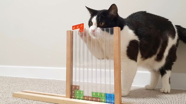 しげしげとスマホのテトリス見てた猫、アナログタイプのテトリスに興じる