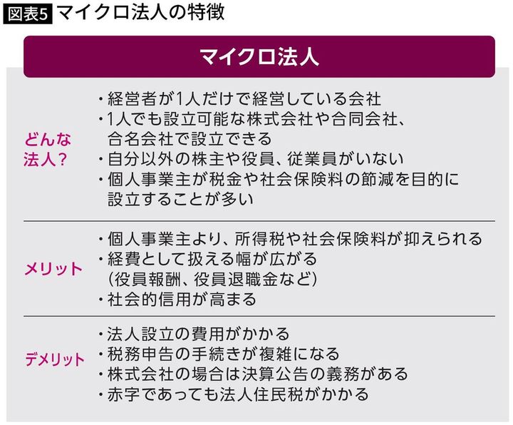【図表】マイクロ法人の特徴