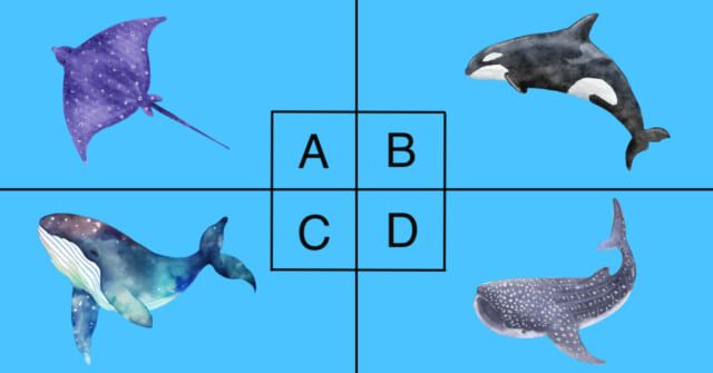 どの生き物を見たい？【心理テスト】あなたの社交性の範囲を診断！