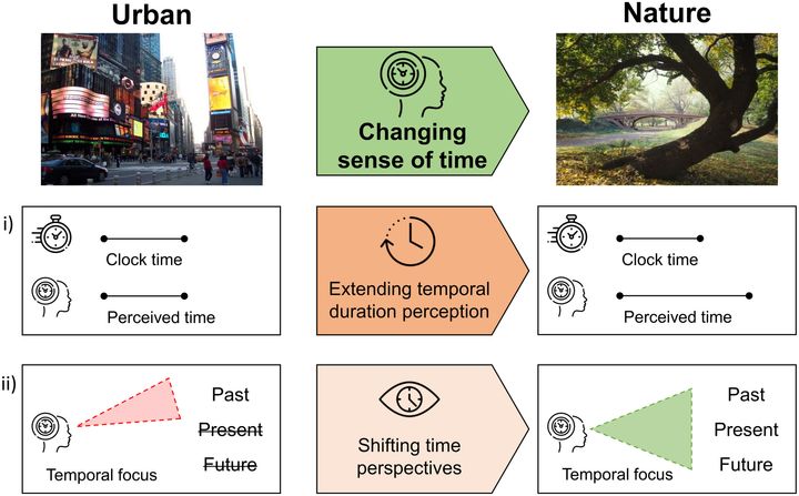 都会と自然での時間感覚の違い