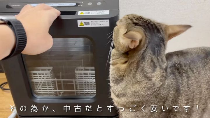 猫食器専用食洗機という選択肢、手間なくお皿はいつもピカピカ