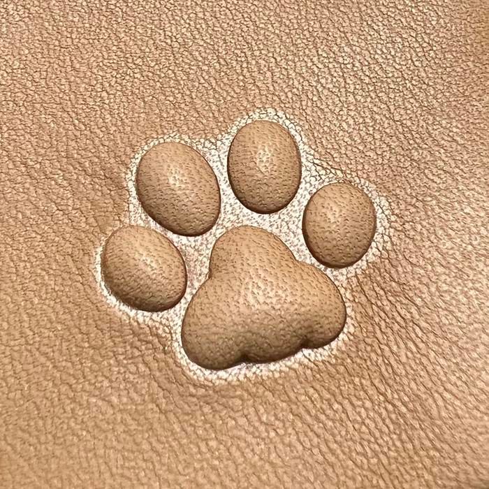 みりおたきゃんぷの肉球アイテム