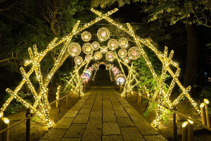 期間限定開催だった、和のイルミネーション「HANAあかり ～HANA・BIYORI×竹あかり～」は通年開催になりました