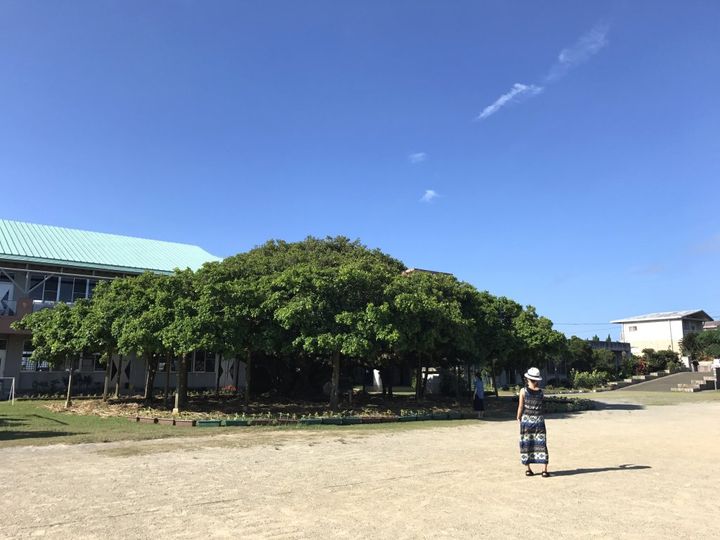 ケイビングの聖地！沖永良部島の原田酒造スパークリング黒糖焼酎と、東マンゴー園のコンフィチュールとジャム【旅するデザイナーがおすすめする旅先でのお土産たち！】