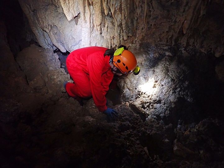 ケイビングの聖地！沖永良部島の原田酒造スパークリング黒糖焼酎と、東マンゴー園のコンフィチュールとジャム【旅するデザイナーがおすすめする旅先でのお土産たち！】
