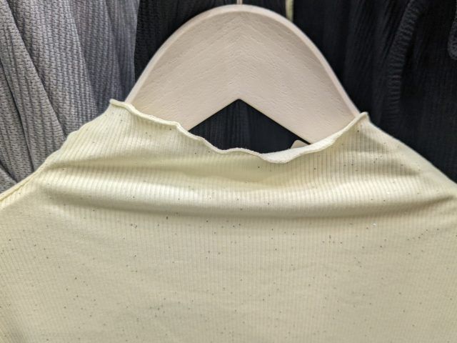 ワークマン「ハイネックラメTパーツ」