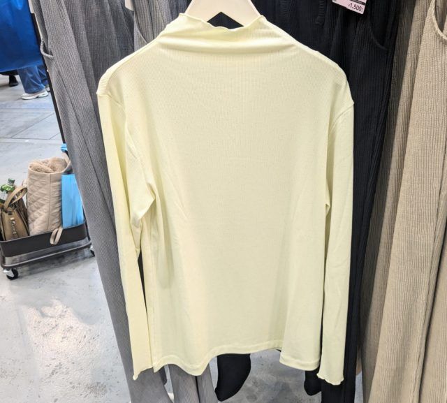 ワークマン「ハイネックラメT正面」