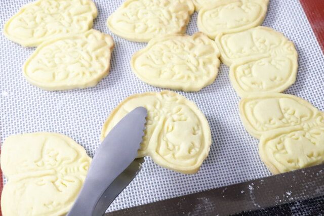 クッキー抜き型 2P 臓器の完成例