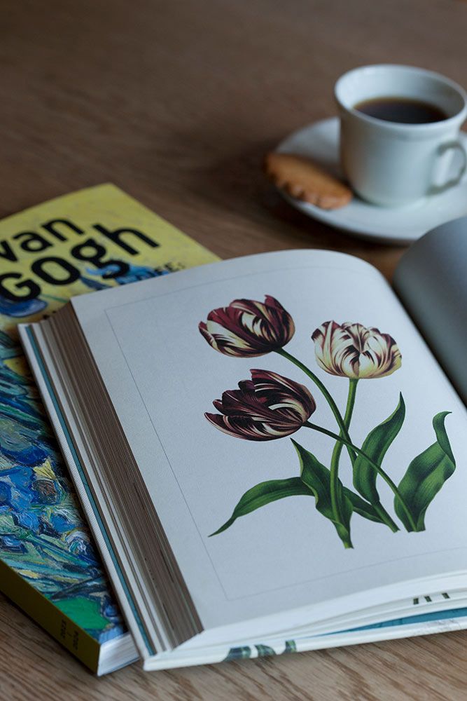 絞り模様のチューリップ