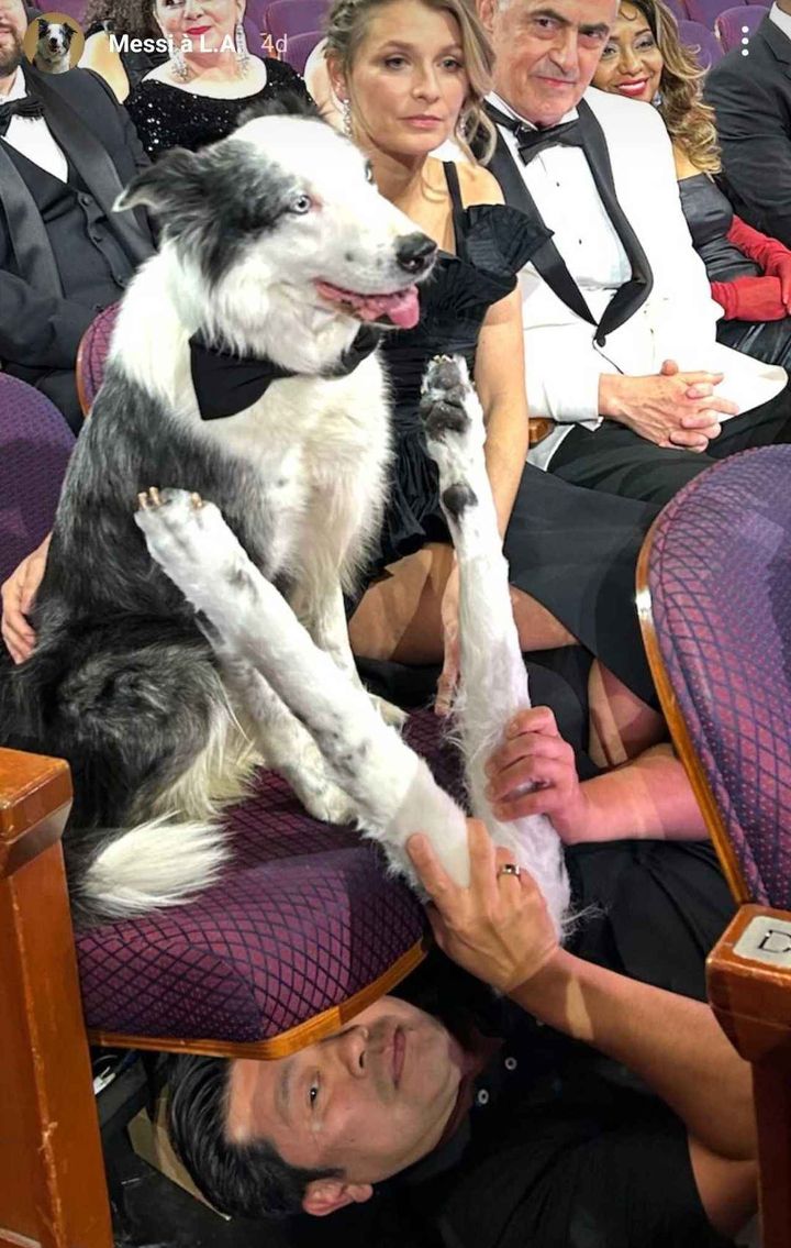 画像: アカデミー賞授賞式に犬のメッシが参加