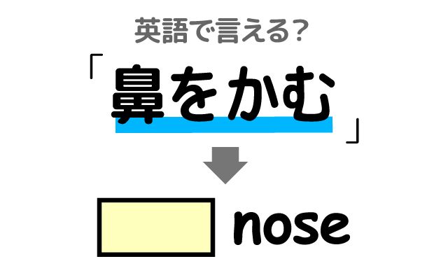 英語で【鼻をかむ】は何て言う？「鼻づまり」などの英語もご紹介