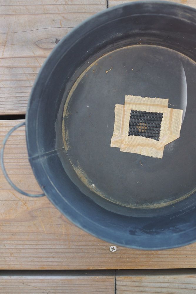 鉢の準備をします