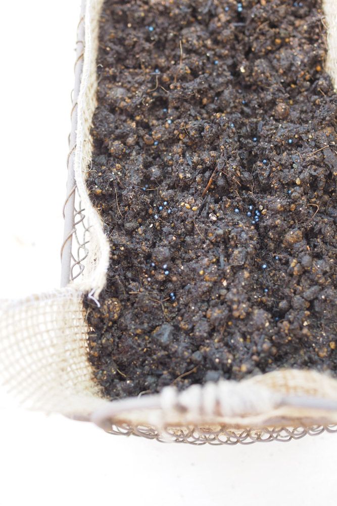 ：種を蒔きます